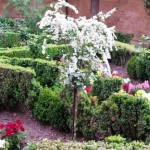 сады хенералифе Альгамбра
